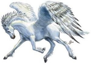 Pegasus.JPG